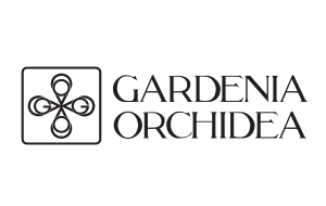Gardenia Orchidea